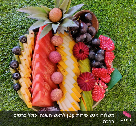 מגש פירות מעוצב על דשא ירוק